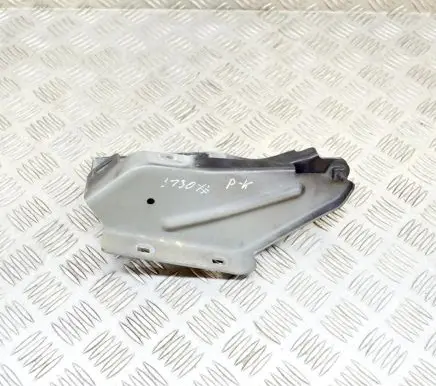 Cadillac SRX Engine bonnet/hood hinges 25715774