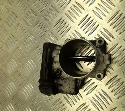 Throttle body valve