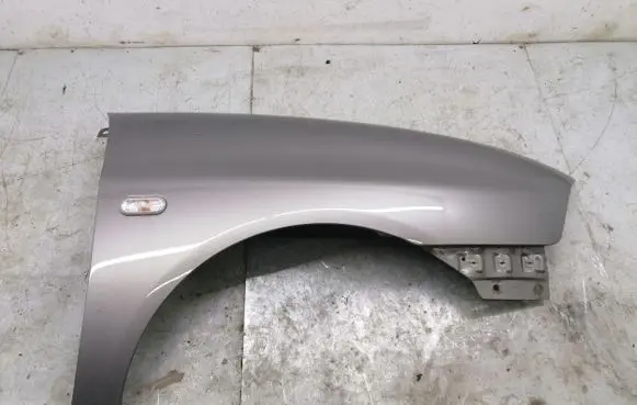 Seat Ibiza III (6L) Fender