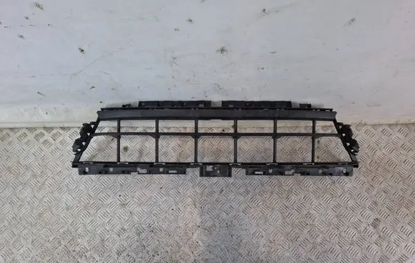 Porsche Panamera (971) Front bumper lower grill 971807683L