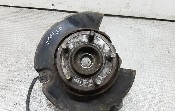 Chrysler 300 - 300C Rear wheel hub spindle/knuckle 