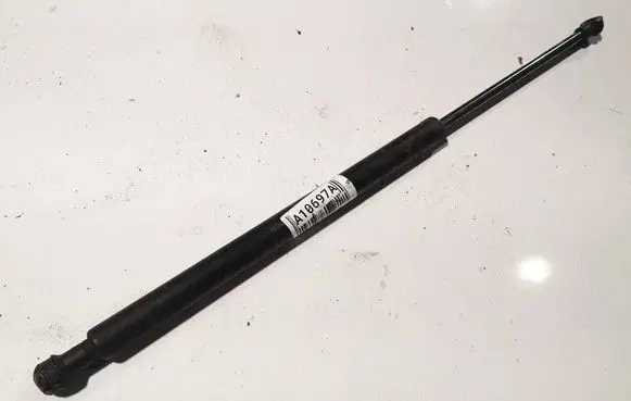 Tailgate/trunk strut/damper