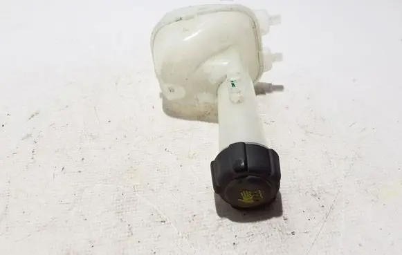 Renault Arkana Coolant expansion tank/reservoir 217102102R