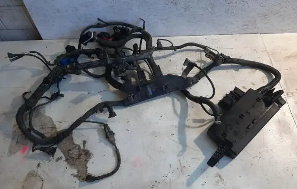 KIA Carnival Engine installation wiring loom