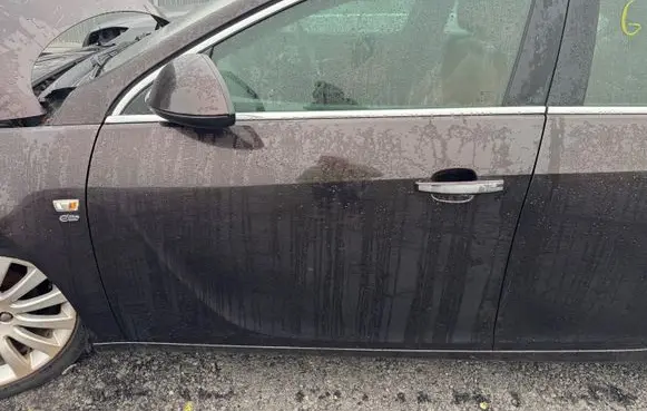 Opel Insignia A Front door