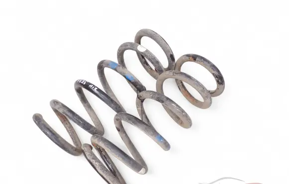 Rear coil spring