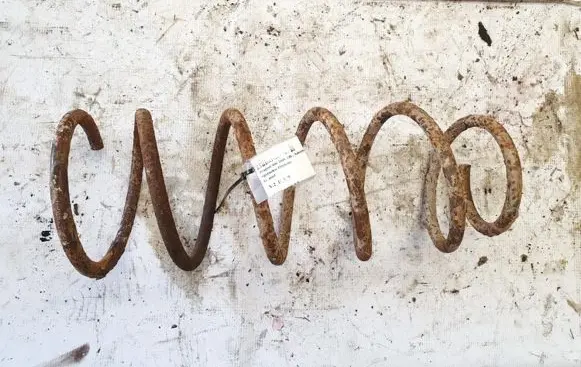 Peugeot 406 Front coil spring