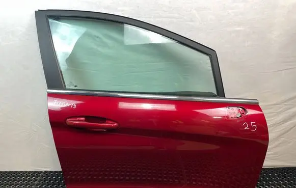 Ford Fiesta Front door