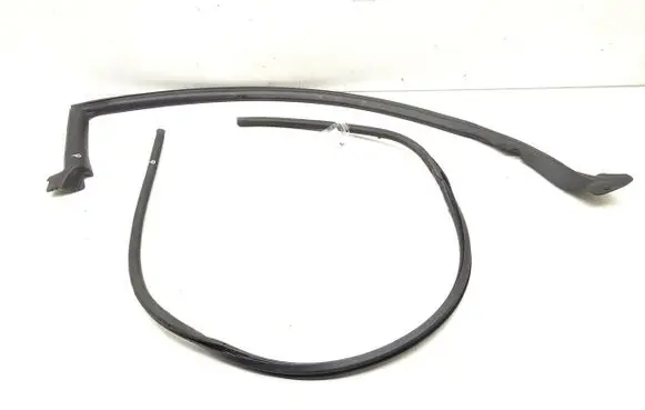 Lexus RC Rubber seal front door (on door) 