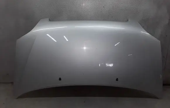 Engine bonnet/hood