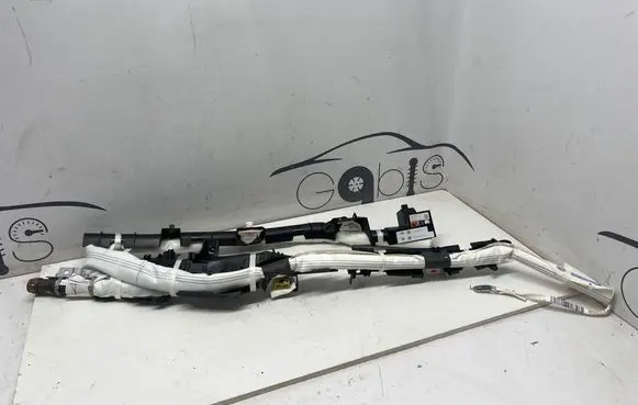 Toyota RAV 4 (XA50) Roof airbag 641667400L