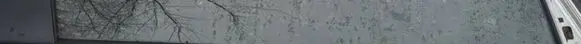 Toyota Prius (XW20) Front door glass trim molding 