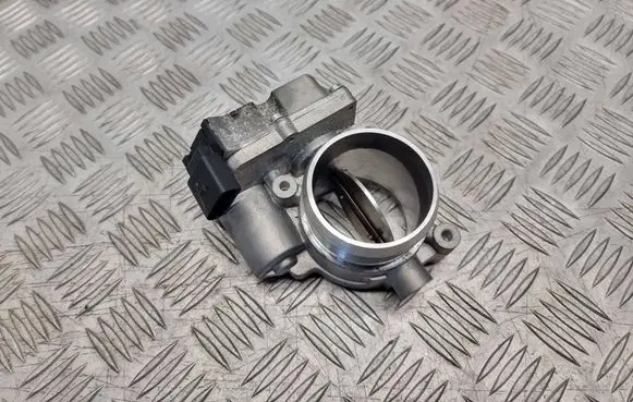 Volkswagen Phaeton Throttle valve THB5950CZ C092229003