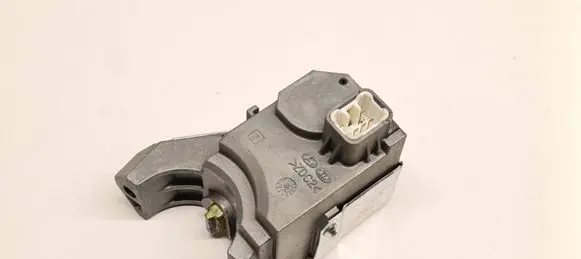 Steering wheel lock