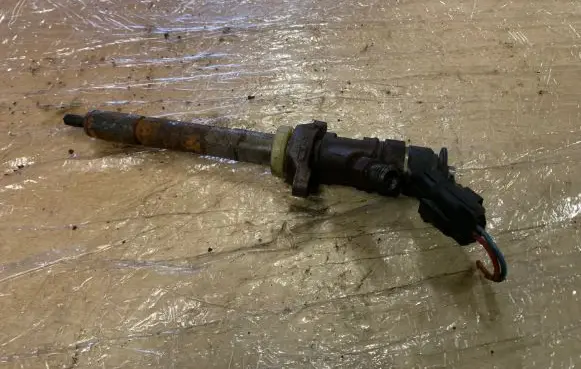 Citroen C4 I Fuel injector 0445110297