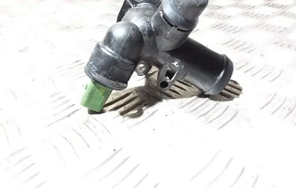 Thermostat/thermostat housing