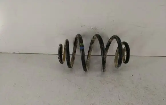 Rear coil spring