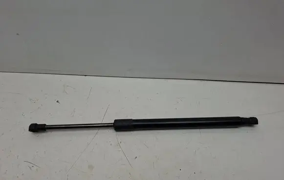 Tailgate/trunk strut/damper