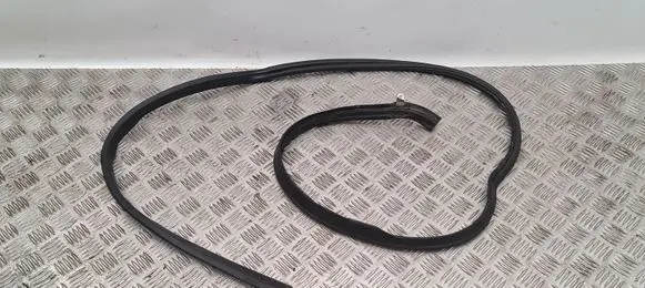 BMW Z4 E89 Rear door rubber seal (on body) 7191264