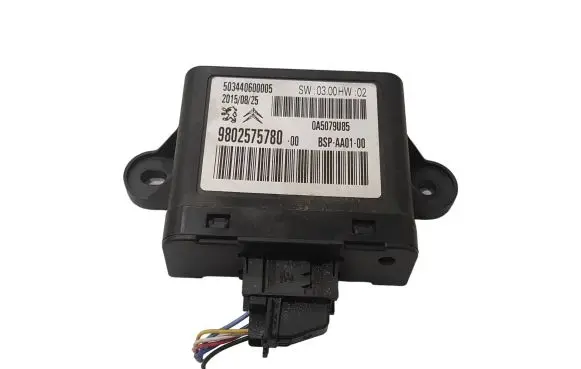 Peugeot iOn Other control units/modules 9802575780 0A5079U85 503440600005
