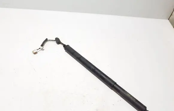 Tailgate strut