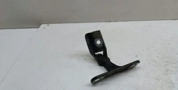BMW X5 E70 Tailgate hinge 14187910