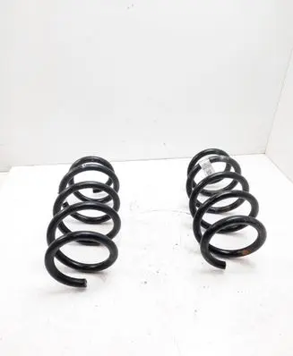 Tesla Model 3 Rear coil spring 104447291E