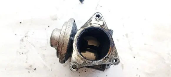 Volkswagen Golf Plus EGR valve 038131501AN 064712094