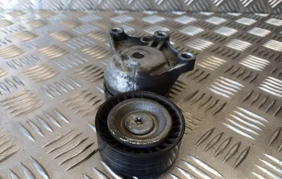 Citroen C5 Alternator belt tensioner 9824830480