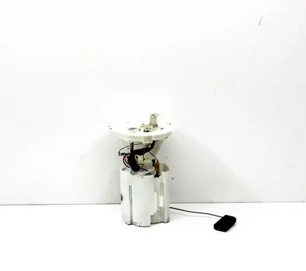Ford Escape III Fuel injection high pressure pump LX619H307TC