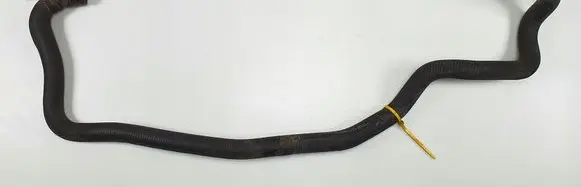 Ford Mondeo Mk III Engine coolant pipe/hose 1S718N021EC