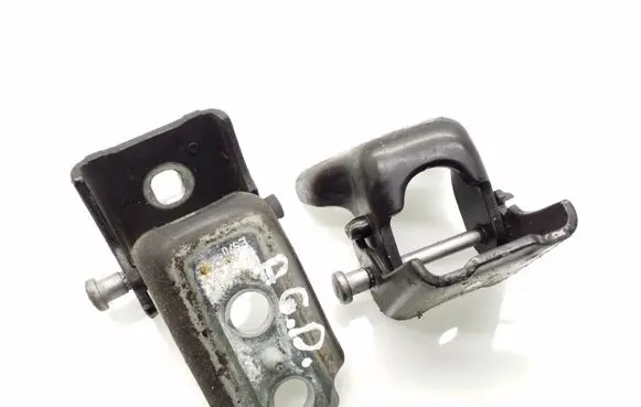 Peugeot 508 Rear door hinge set 