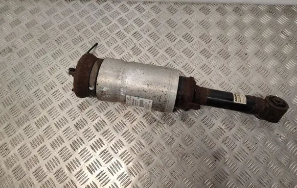 Land Rover Range Rover Sport L320 Air suspension front shock absorber 22257274