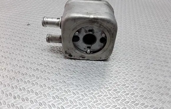 Seat Alhambra (Mk1) Oil filter mounting bracket