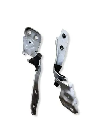 Tesla Model 3 Engine bonnet/hood hinges 109879300