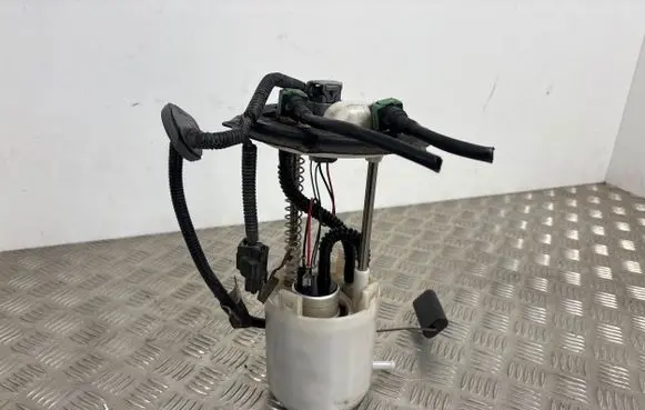 Peugeot 4008 In-tank fuel pump