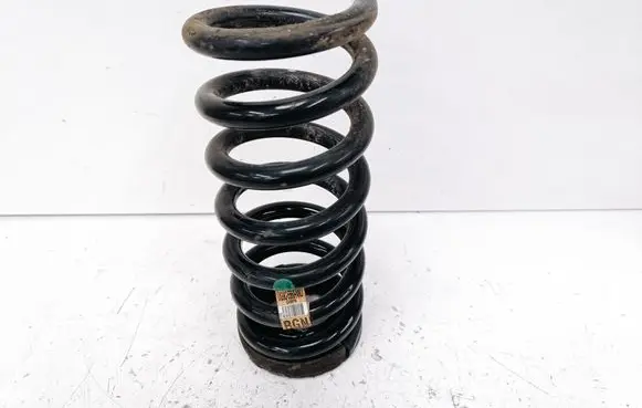 Ford Fusion II Rear coil spring DG9C5560NND