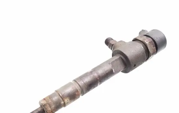 Fiat Punto (188) Fuel injector 0445110019