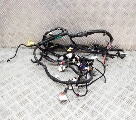 Tesla Model 3 Other wiring loom 111769000B