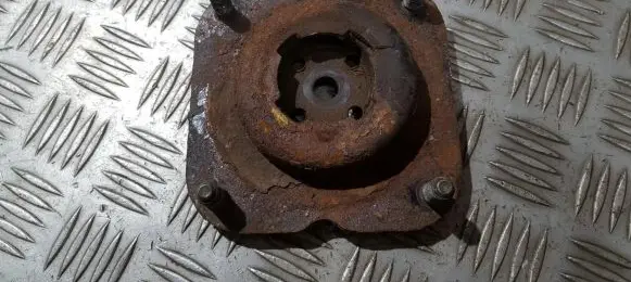 Coil spring mount