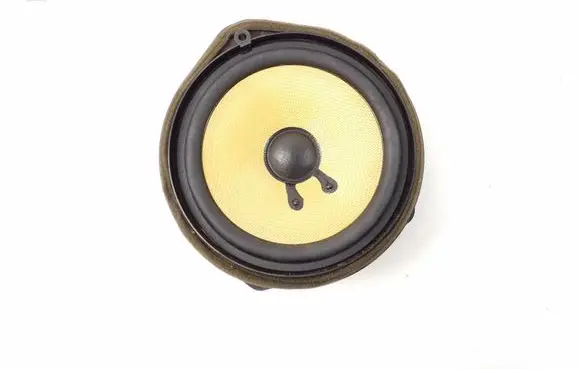 Honda Civic IX Front door speaker 
