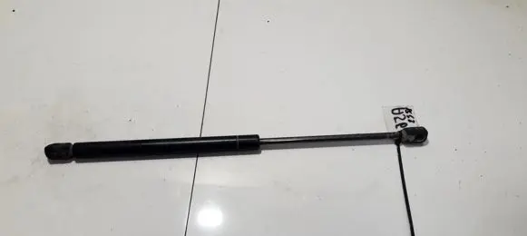 Tailgate/trunk strut/damper