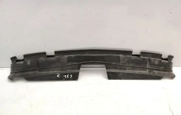 Engine bonnet/hood lock trim molding