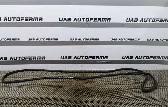 Volkswagen Tiguan Rubber seal rear door 5NA839702