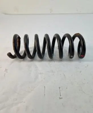 Rear coil spring