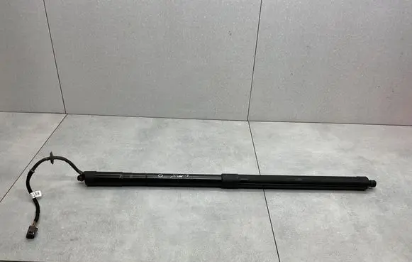 Tailgate/trunk strut/damper