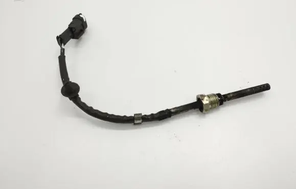 Chevrolet Captiva Exhaust gas temperature sensor