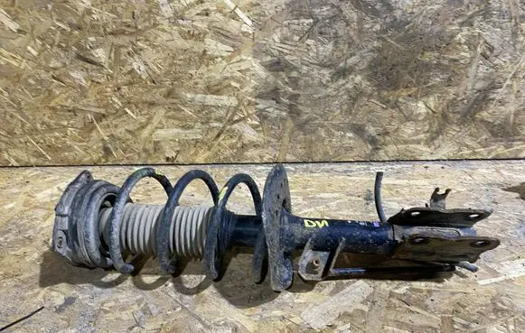 Nissan Qashqai Front shock absorber with coil spring 54302JD04A 824903007907