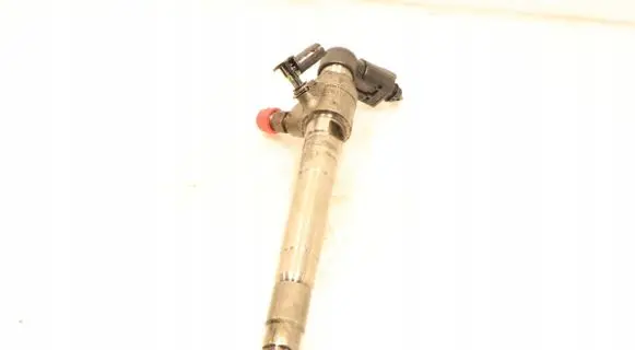 Ford Transit - Tourneo Connect Fuel injector BK2Q-9K546-AG