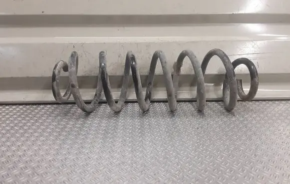 Volkswagen Golf Plus Rear coil spring 